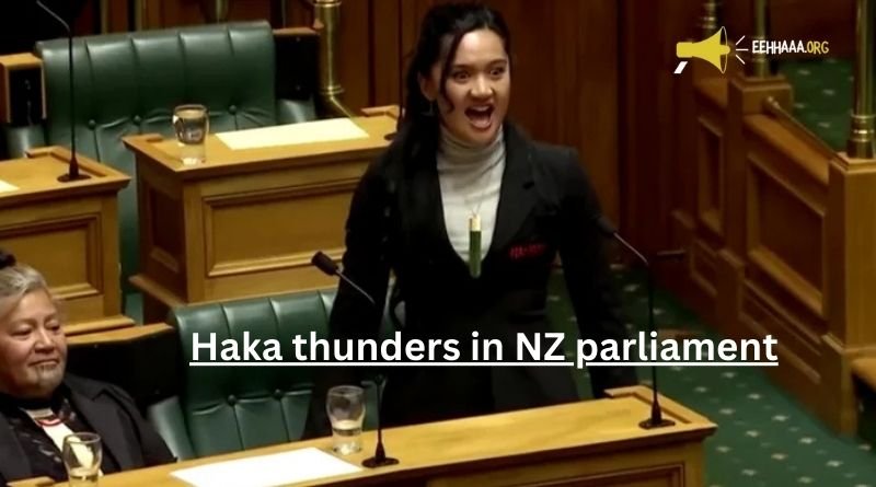 Haka Thunders in NZ Parliament